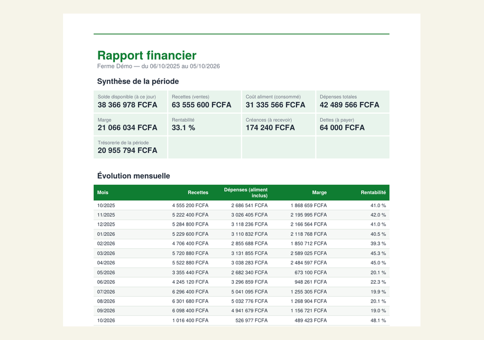 Rapport financier exporté en PDF